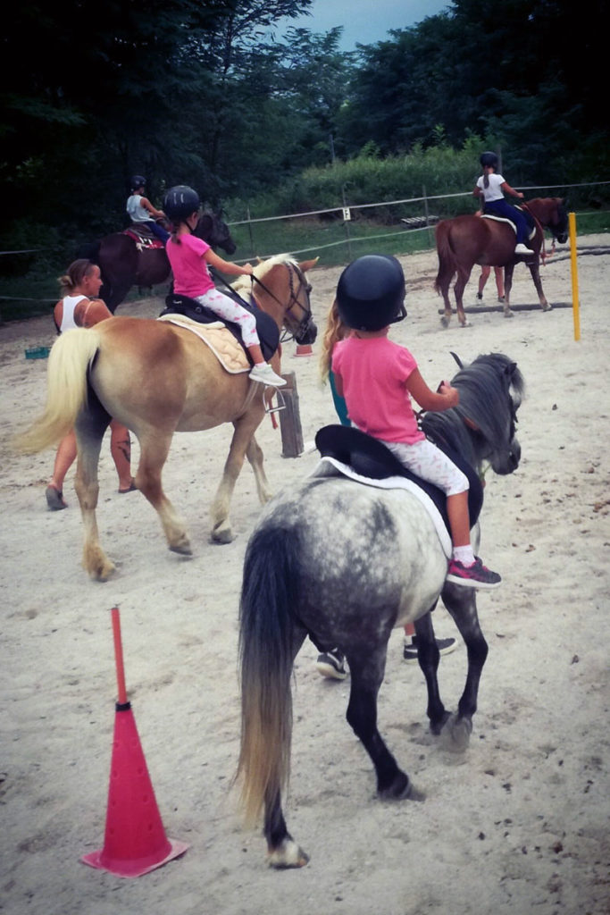 Finalità e obiettivi